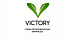 Серия Victory